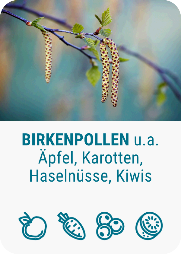 pollenallergie-birkenpollen