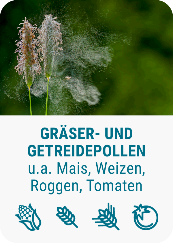 pollenallergie-graeser