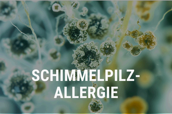 schimmelpilzallergie