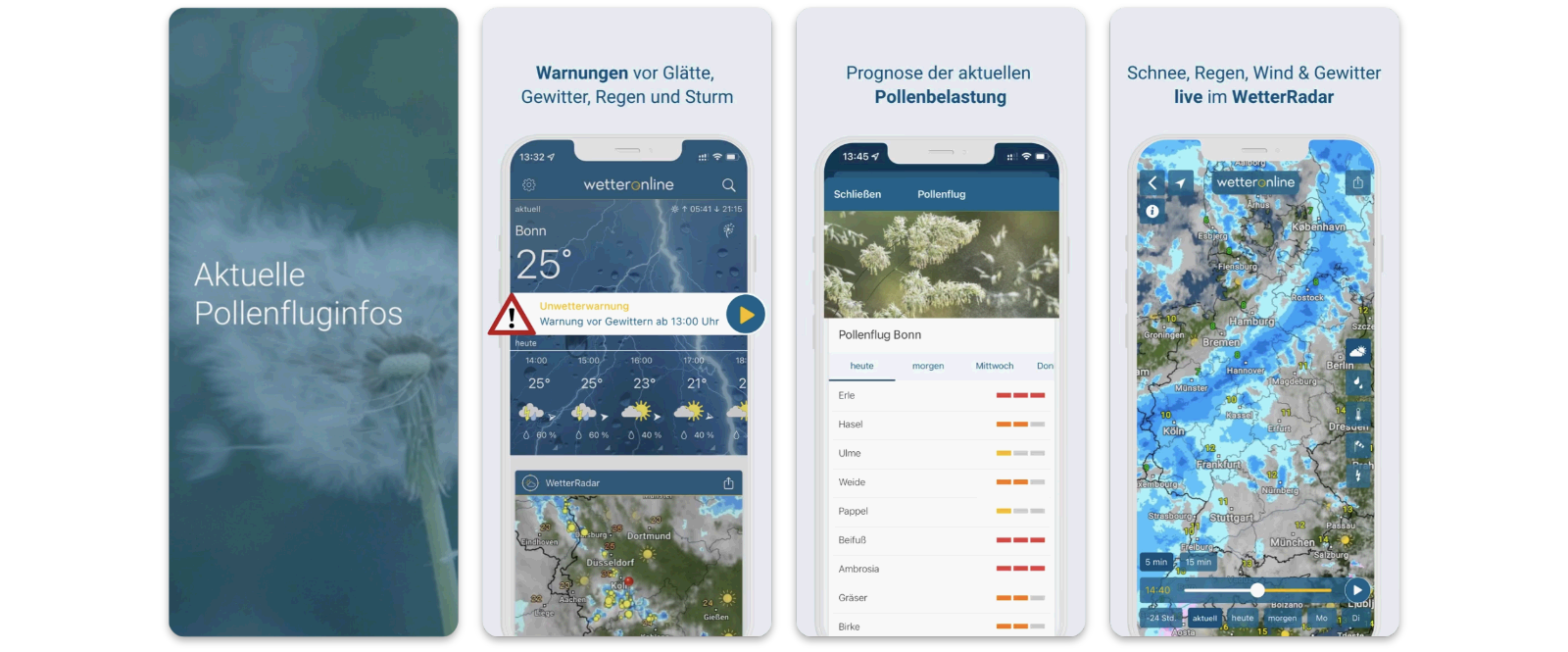 Screenshot der WetterOnline-Pollenflugvorhersage