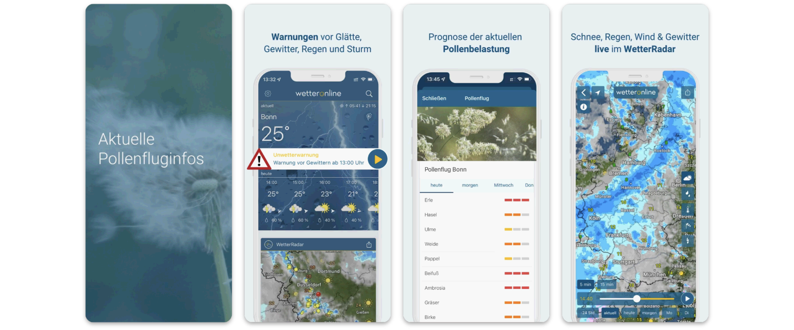 Screenshot der WetterOnline-Pollenflugvorhersage