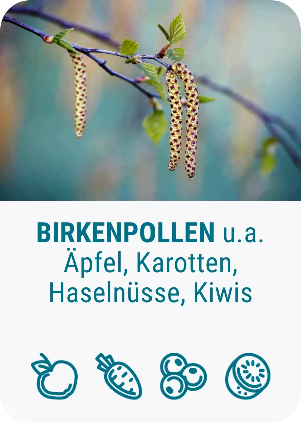 pollenallergie-birkenpollen