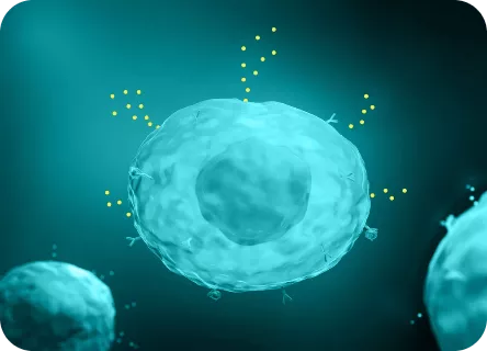 Mastzelle setzt Histamin frei (mikroskopische Darstellung)