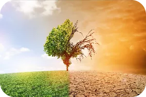 pollenallergie-klimawandel