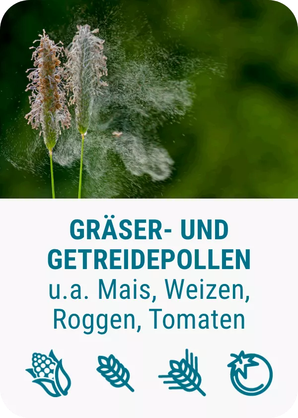 pollenallergie-graeser