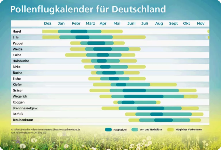 pollenallergie-pollenflugkalender