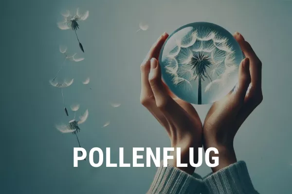 pollenallergie-pollenflug