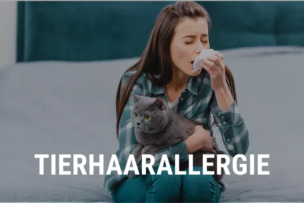 tierhaarallergie