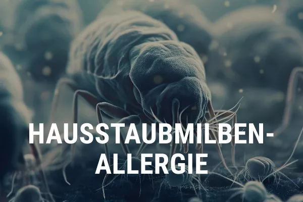 hausstaubmilbenallergie
