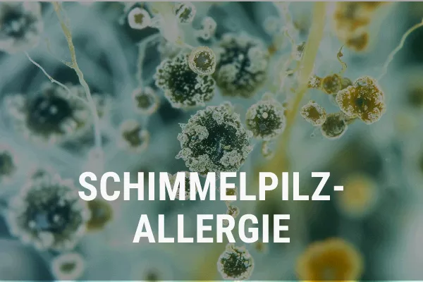 schimmelpilzallergie